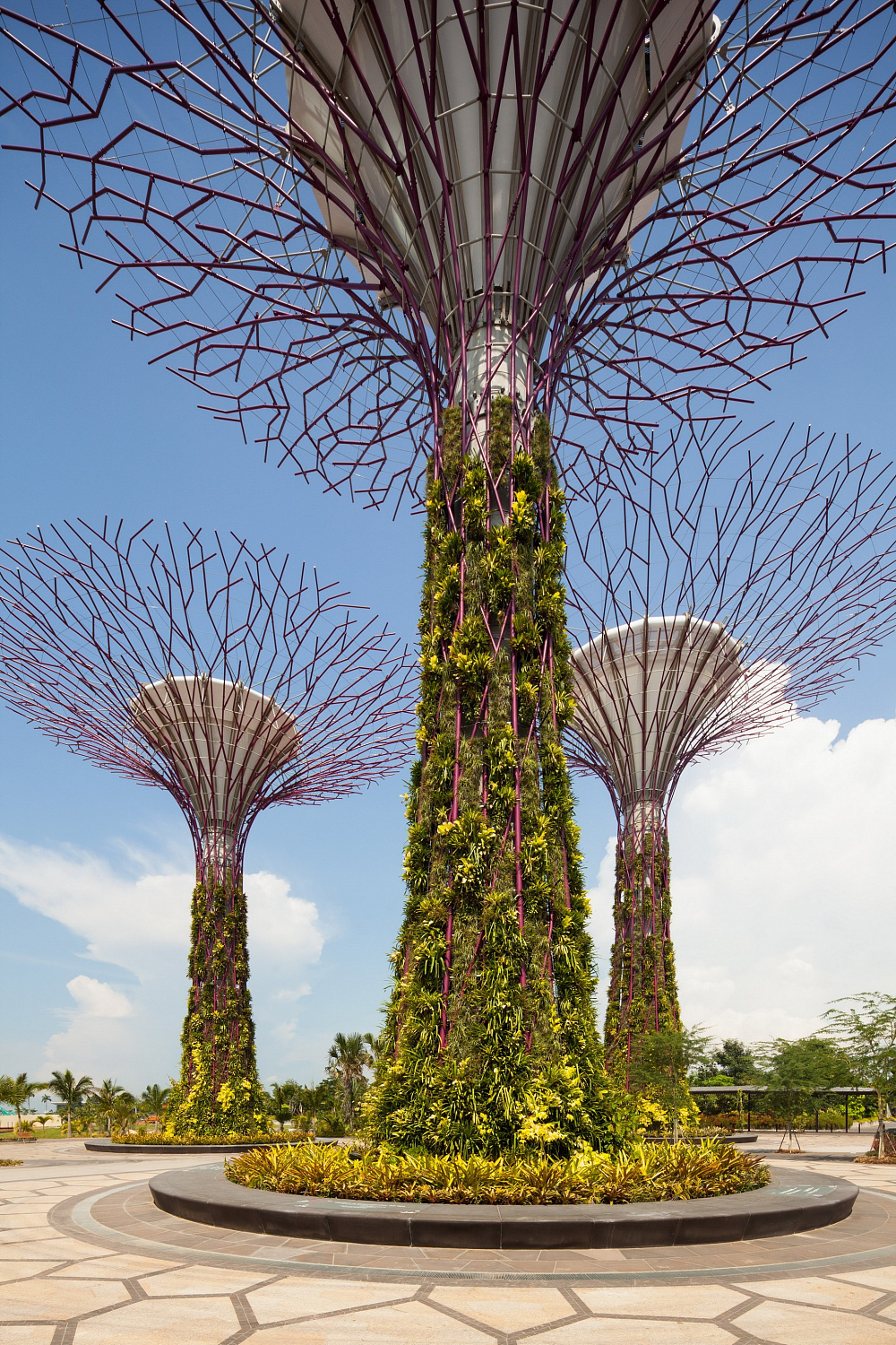 Gardens by the Bay: футуристический сад в Сингапуре, где природа встретилась с технологиями