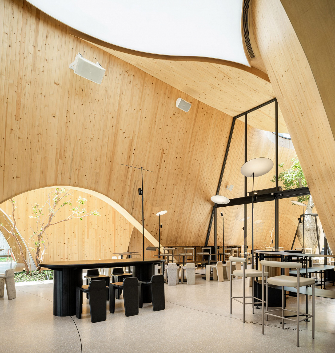 Дерево баобаб растёт в изогнутом кафе в Таиланде от IDIN Architects