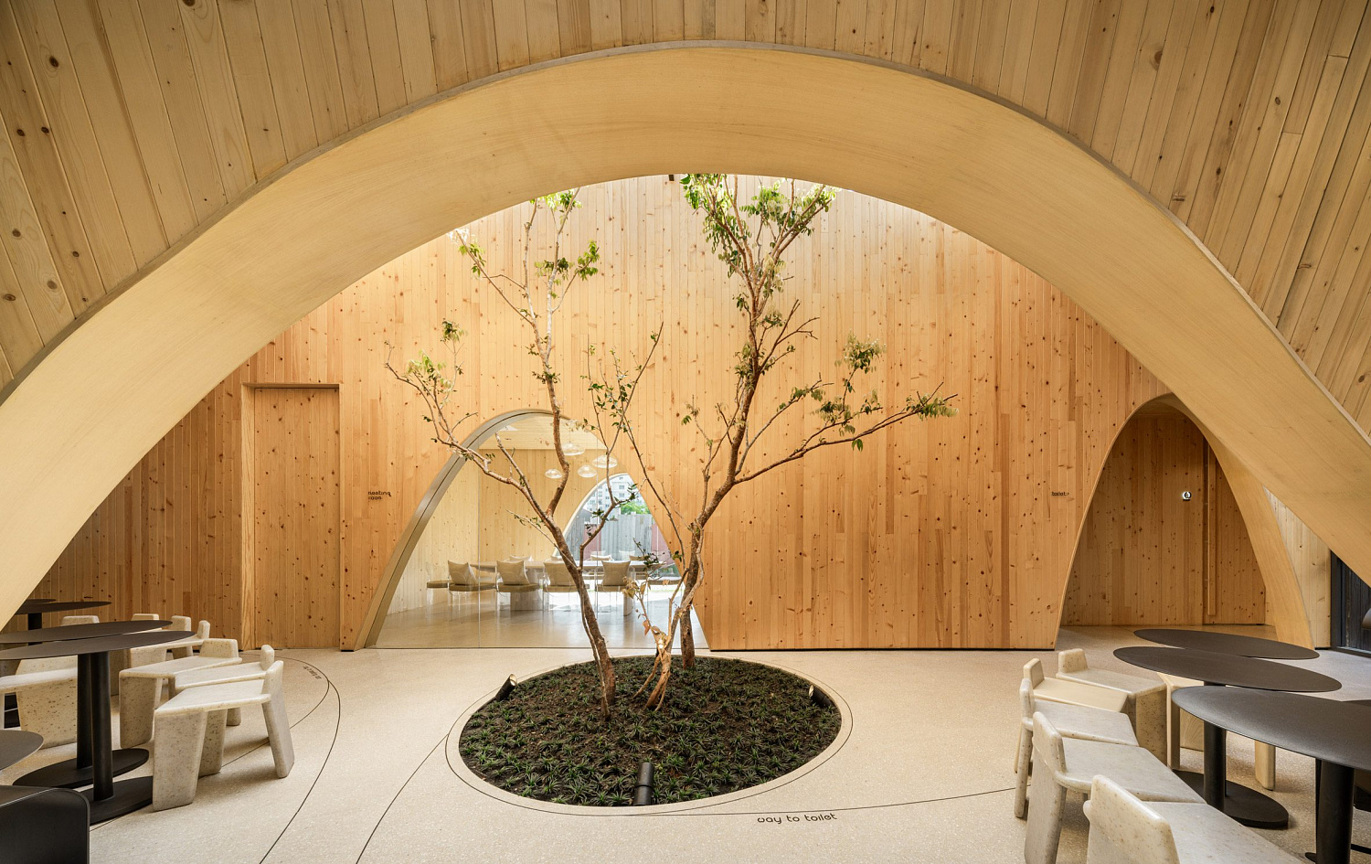 Дерево баобаб растёт в изогнутом кафе в Таиланде от IDIN Architects